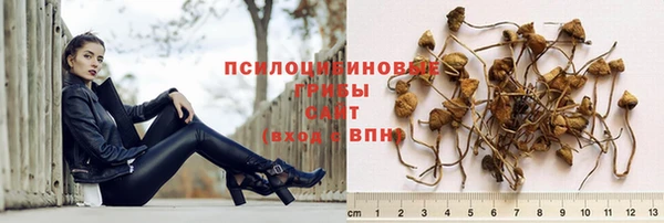 мескалин Баксан
