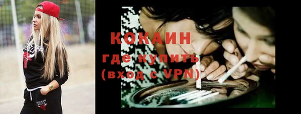 мяу мяу мука Аркадак